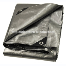 Feuille de bâche imperméable de l&#39;argent vert 110g pe